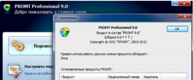 Descarga gratuita de programas para Windows.  Elegir un buen traductor fuera de línea inglés-ruso para Android Descargar traducción al inglés