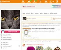 Odnoklassniki - صفحه من اکنون وارد شوید